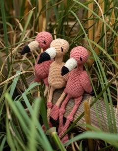Flamingo Flamboyance