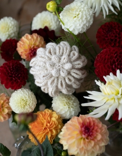 Ball Dahlia