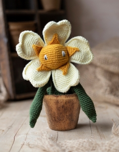 Coir Pot