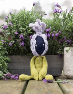 French Lavender