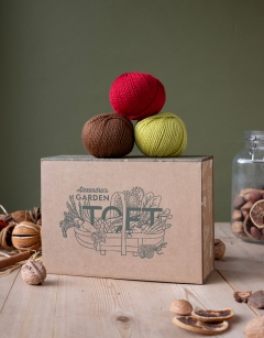 Sprig of Cranberries