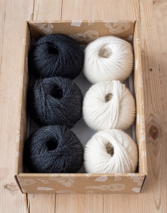 Black and White Discovery Box