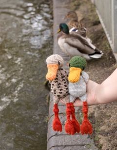 Duchess the Mallard 