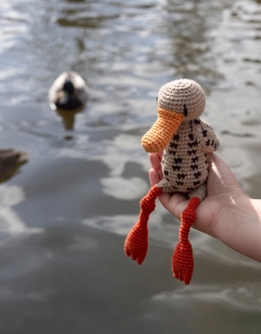 Duchess the Mallard 