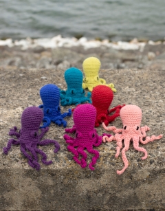Mini Orla the Octopus