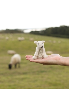 Mini Simon the Sheep Kit