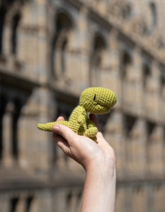 Mini Gregor the T-Rex Kit