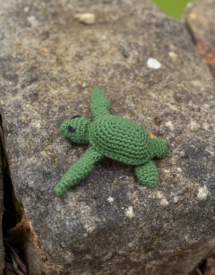 Mini Kat the Turtle Kit