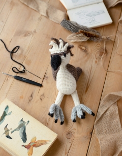 Struan the Osprey