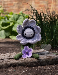 Anemone