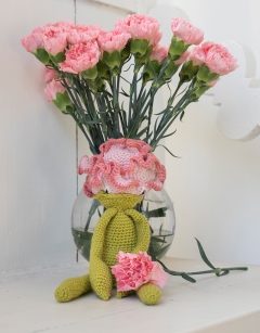 Carnation