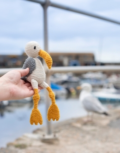 Seabird Flock