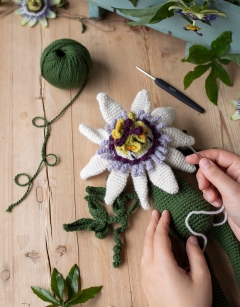 Passion Flower