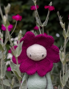 Rose Campion