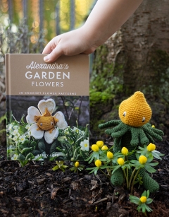 Winter Aconite