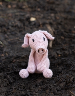 Richard the Pig Kit
