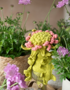 Pincushion Flower