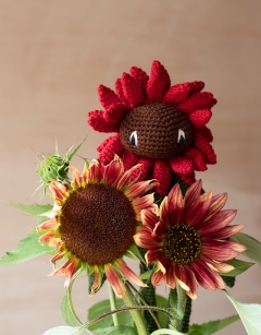 Red Sunflower