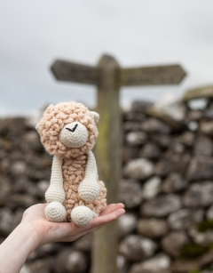 Everett the Romney Sheep Kit