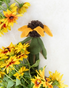 Rudbeckia