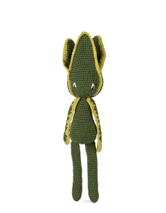 Sansevieria
