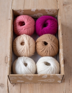 Fancies Discovery Box