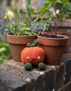 Munchkin Pumpkin