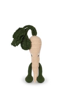 Parsnip