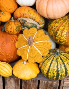 Patty Squash