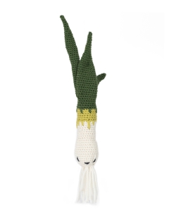 Spring Onion