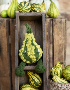 Striped Warty Gourd