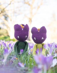 Crocus