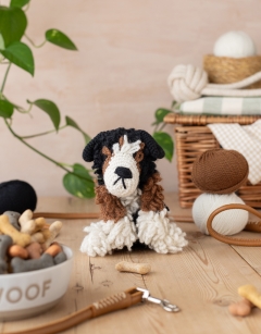 Chester the Bernese Mountain Dog