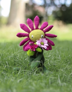 Daisy