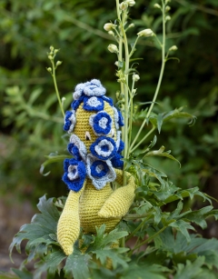 Delphinium