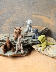 Dinosaur Discovery Box