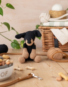 Felicity the Doberman