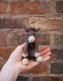 Nativity Discovery Box