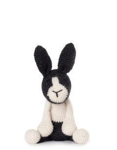 Beth the Dutch Rabbit