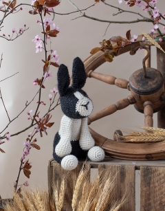 Beth the Dutch Rabbit Kit