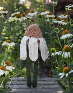 Echinacea