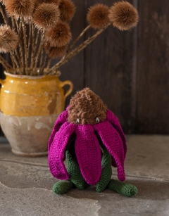 Echinacea