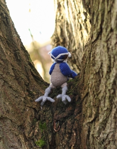 Fenton the Whiskered Treeswift