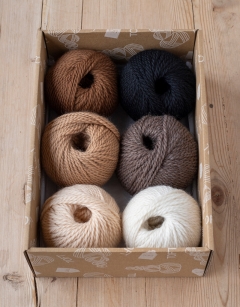 Farmyard Discovery Box