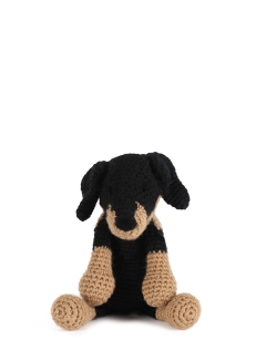 Felicity the Doberman