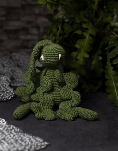 Fishbone Cactus