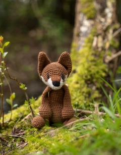 Esme the Fox Kit
