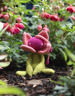 Fuchsia