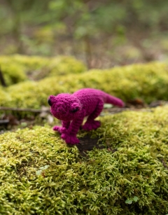 Mini Roy the Gecko