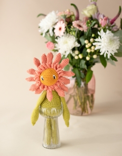 Gerbera